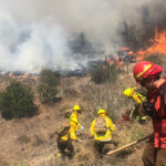 INCENDIOS FORESTALES